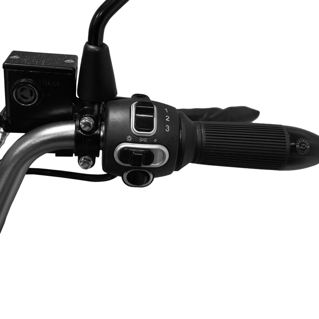 Tectus Trail - Image 8